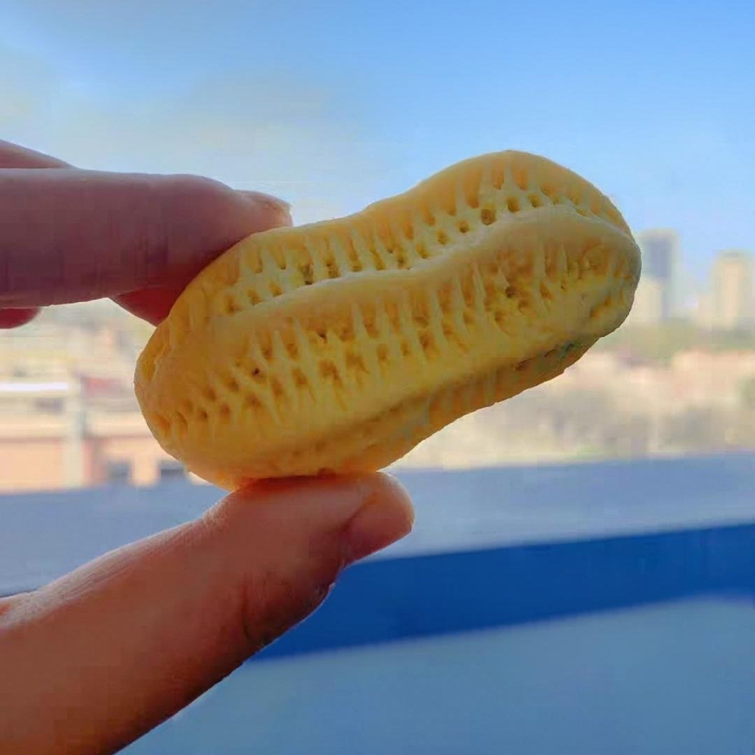 不銹鋼花邊鉗夾 (6件/套) #核桃酥夾子 #花生酥夾子